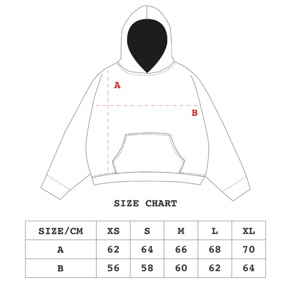 +CC01_COMPANY LOGO HOODIE_SPORT GREY - immagine 3